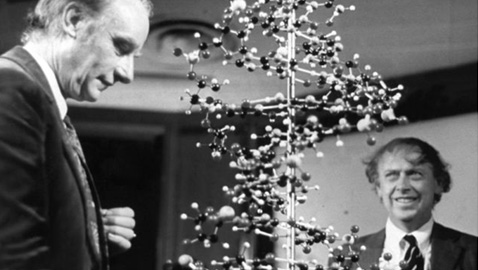 60 anni dopo, i segreti della molecola della vita