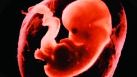 Bambini perfetti: la genetica e la “nuova razza umana”